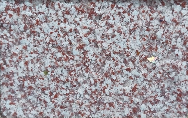 z4222991075993_4c2649cc4dcdf91203bb07ed17d19e63