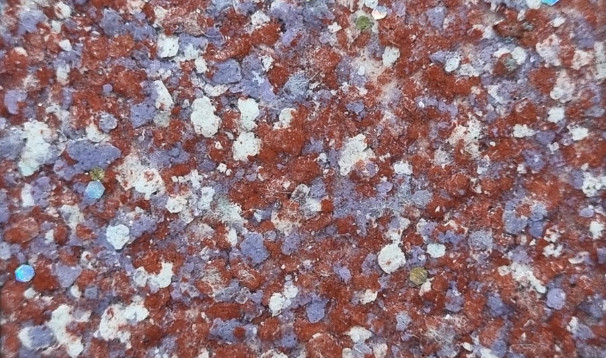 z4222991445835_6798826cc64f3bd1df54d189f3bc853a