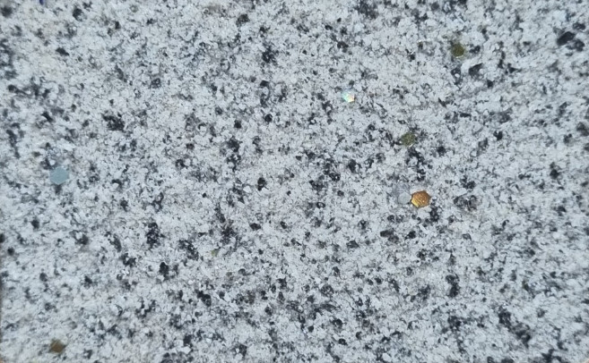 z4222991465961_414cd88398b65589ae7ec971a98e9c97