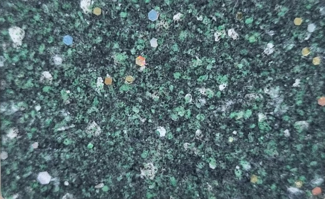 z4222991505287_a02085ffaf1466ea4be6930d8f10c67a