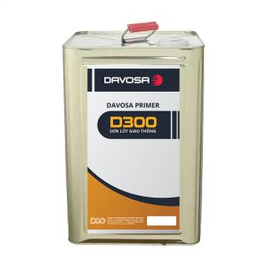 D300 DVS